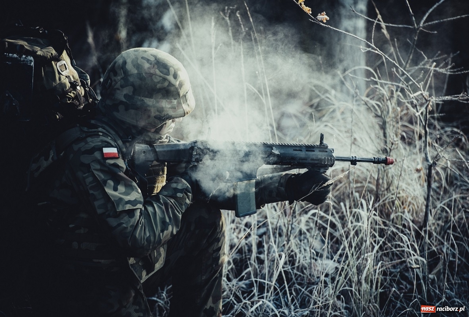 Zdjęcie w galerii na portalu naszraciborz.pl: Czarna i zielona taktyka. Tak ćwiczą śląscy terytorialsi wiadomości z regionu