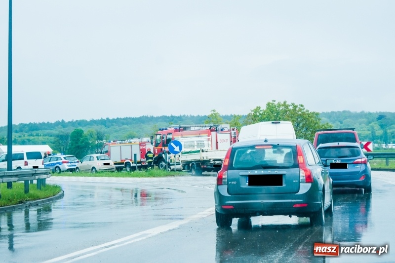 Zdjęcie w galerii na portalu naszraciborz.pl: Kolizje, plamy oleju i owady. Strażackie podsumowanie weekendu wiadomości z regionu