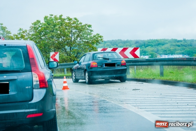 Zdjęcie w galerii na portalu naszraciborz.pl: Kolizje, plamy oleju i owady. Strażackie podsumowanie weekendu wiadomości z regionu