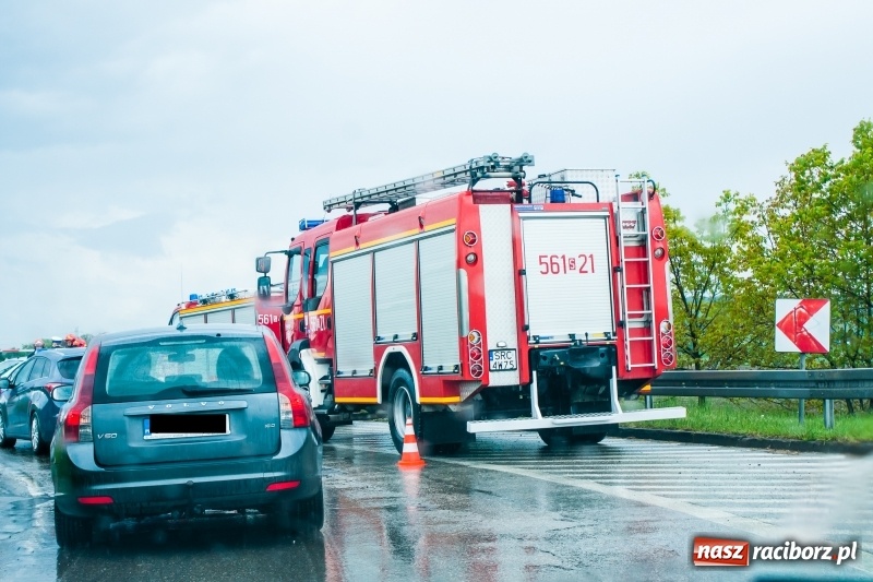Zdjęcie w galerii na portalu naszraciborz.pl: Kolizje, plamy oleju i owady. Strażackie podsumowanie weekendu wiadomości z regionu