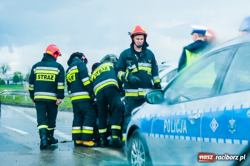 Zdjęcie w galerii na portalu naszraciborz.pl: Kolizje, plamy oleju i owady. Strażackie podsumowanie weekendu wiadomości z regionu