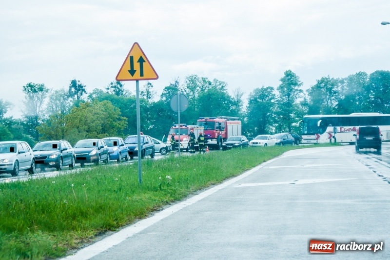 Zdjęcie w galerii na portalu naszraciborz.pl: Kolizje, plamy oleju i owady. Strażackie podsumowanie weekendu wiadomości z regionu