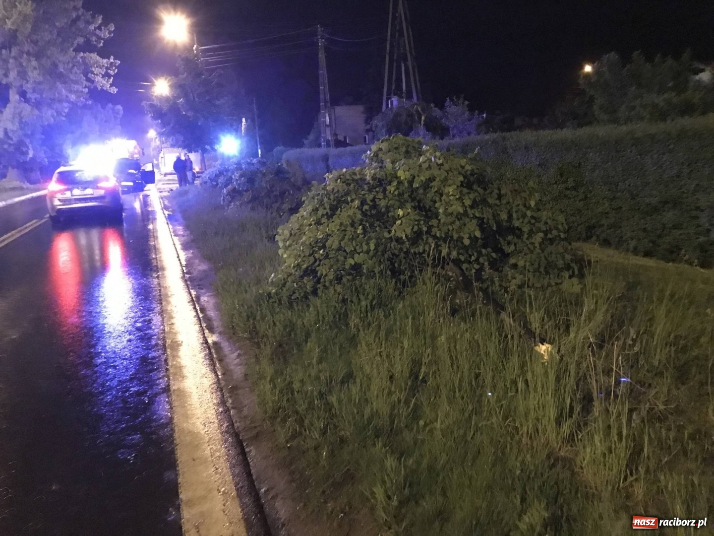 Zdjęcie w galerii na portalu naszraciborz.pl: BMW ścięło szpaler drzewek. Kierowca i pasażerowie mieli dużo szczęścia! wiadomości z regionu