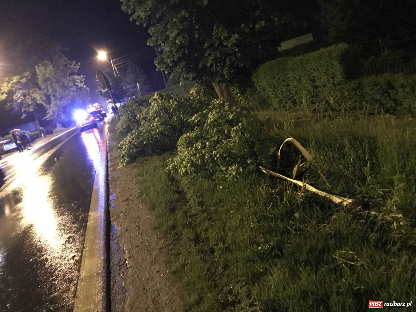Zdjęcie w galerii na portalu naszraciborz.pl: BMW ścięło szpaler drzewek. Kierowca i pasażerowie mieli dużo szczęścia! wiadomości z regionu