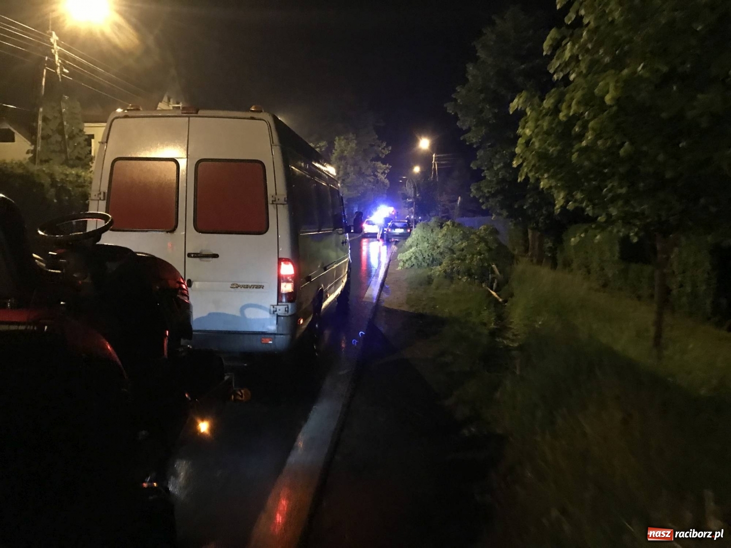 Zdjęcie w galerii na portalu naszraciborz.pl: BMW ścięło szpaler drzewek. Kierowca i pasażerowie mieli dużo szczęścia! wiadomości z regionu