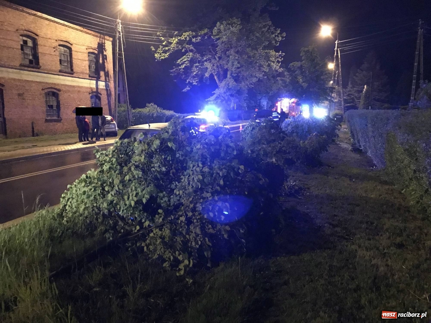 Zdjęcie w galerii na portalu naszraciborz.pl: BMW ścięło szpaler drzewek. Kierowca i pasażerowie mieli dużo szczęścia! wiadomości z regionu
