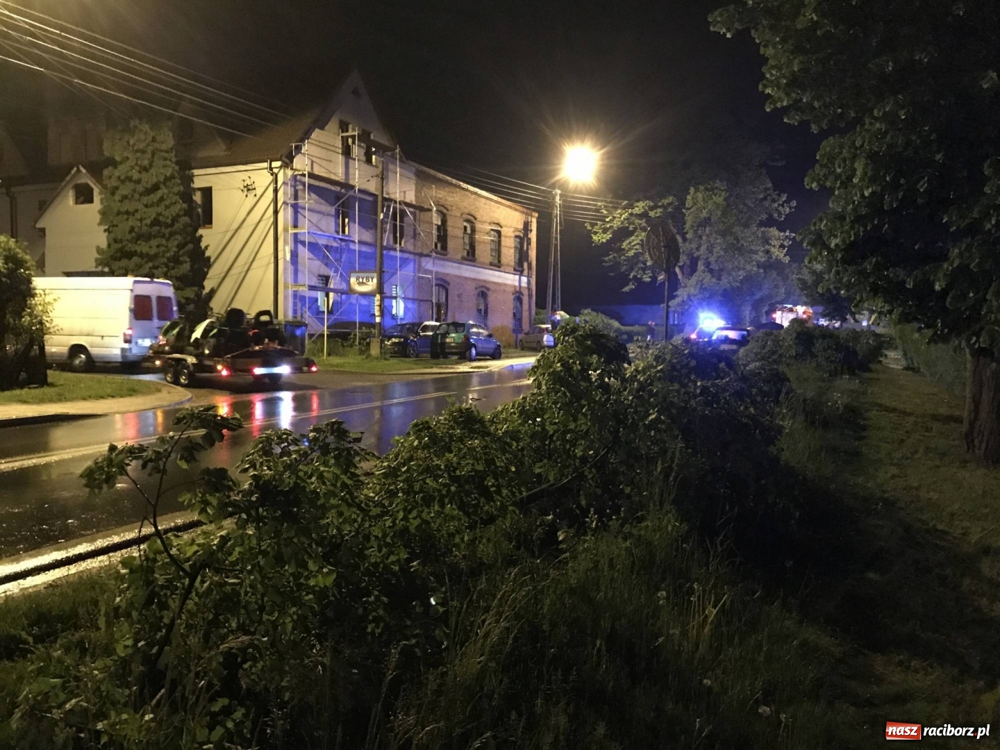 Zdjęcie w galerii na portalu naszraciborz.pl: BMW ścięło szpaler drzewek. Kierowca i pasażerowie mieli dużo szczęścia! wiadomości z regionu
