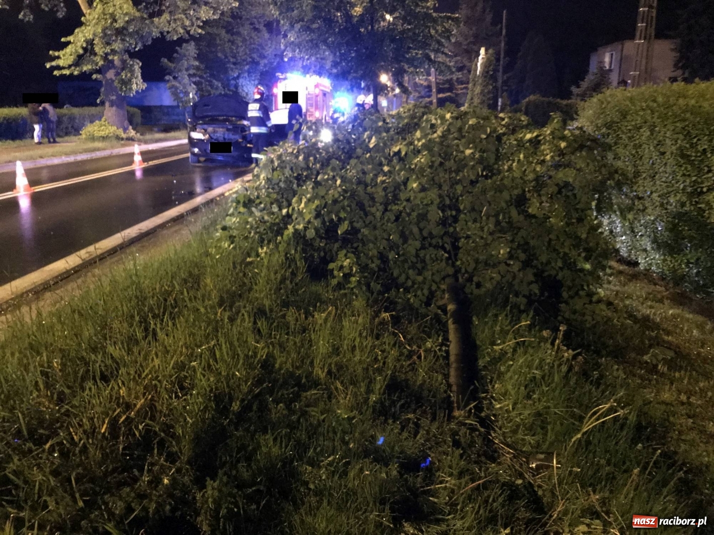 Zdjęcie w galerii na portalu naszraciborz.pl: BMW ścięło szpaler drzewek. Kierowca i pasażerowie mieli dużo szczęścia! wiadomości z regionu