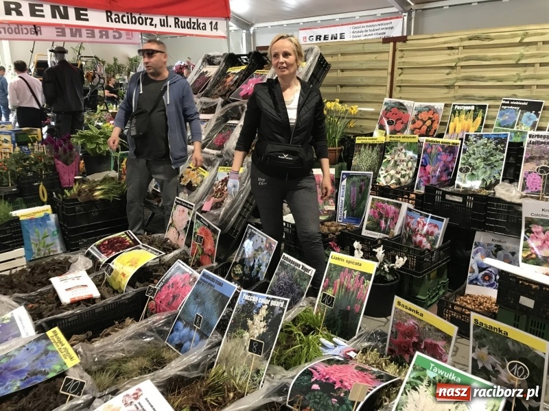 Zdjęcie w galerii na portalu naszraciborz.pl: Stoiska rozstawione, grille rozpalone, scena pełna gwiazd. Ruszyła 19. Eko-Wystawa w Pietrowicach Wielkich wiadomości z regionu