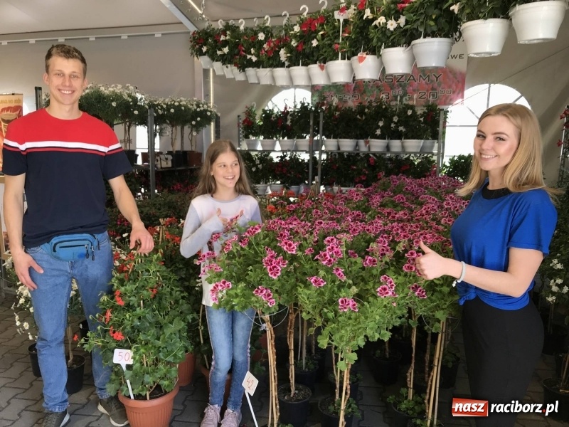 Zdjęcie w galerii na portalu naszraciborz.pl: Stoiska rozstawione, grille rozpalone, scena pełna gwiazd. Ruszyła 19. Eko-Wystawa w Pietrowicach Wielkich wiadomości z regionu