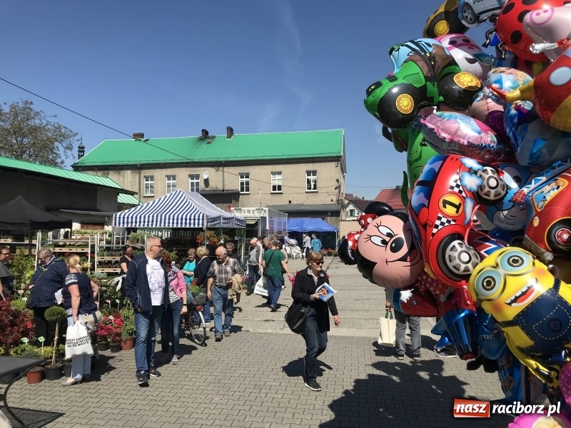 Zdjęcie w galerii na portalu naszraciborz.pl: Stoiska rozstawione, grille rozpalone, scena pełna gwiazd. Ruszyła 19. Eko-Wystawa w Pietrowicach Wielkich wiadomości z regionu