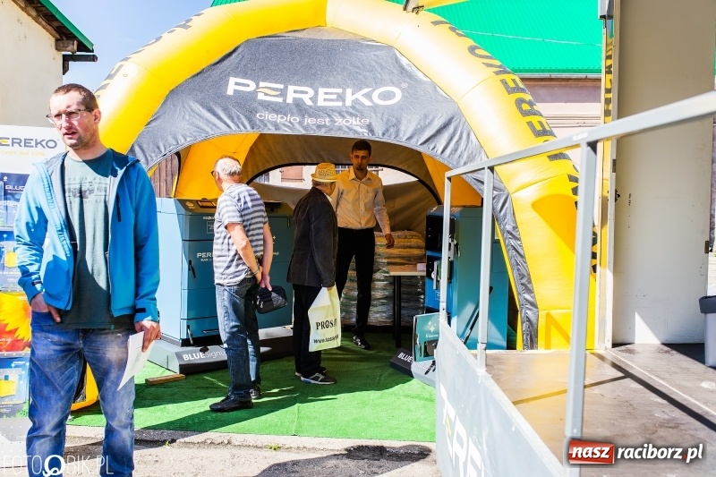 Zdjęcie w galerii na portalu naszraciborz.pl: Stoiska rozstawione, grille rozpalone, scena pełna gwiazd. Ruszyła 19. Eko-Wystawa w Pietrowicach Wielkich wiadomości z regionu