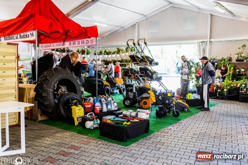Zdjęcie w galerii na portalu naszraciborz.pl: Stoiska rozstawione, grille rozpalone, scena pełna gwiazd. Ruszyła 19. Eko-Wystawa w Pietrowicach Wielkich wiadomości z regionu