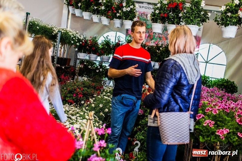 Zdjęcie w galerii na portalu naszraciborz.pl: Stoiska rozstawione, grille rozpalone, scena pełna gwiazd. Ruszyła 19. Eko-Wystawa w Pietrowicach Wielkich wiadomości z regionu