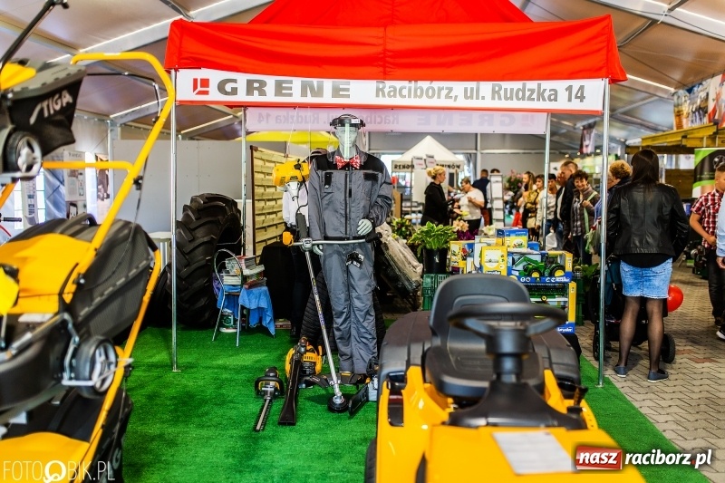 Zdjęcie w galerii na portalu naszraciborz.pl: Stoiska rozstawione, grille rozpalone, scena pełna gwiazd. Ruszyła 19. Eko-Wystawa w Pietrowicach Wielkich wiadomości z regionu