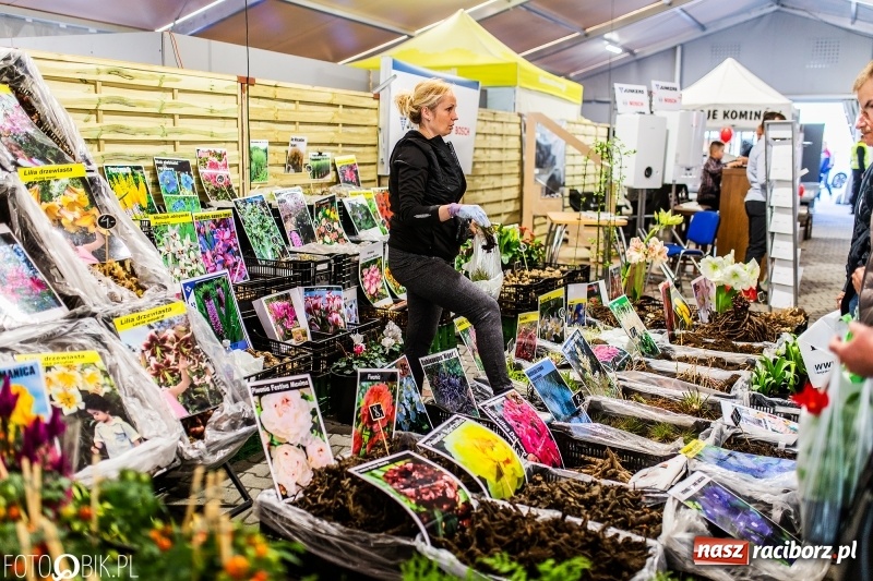 Zdjęcie w galerii na portalu naszraciborz.pl: Stoiska rozstawione, grille rozpalone, scena pełna gwiazd. Ruszyła 19. Eko-Wystawa w Pietrowicach Wielkich wiadomości z regionu