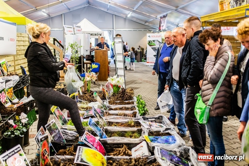 Zdjęcie w galerii na portalu naszraciborz.pl: Stoiska rozstawione, grille rozpalone, scena pełna gwiazd. Ruszyła 19. Eko-Wystawa w Pietrowicach Wielkich wiadomości z regionu