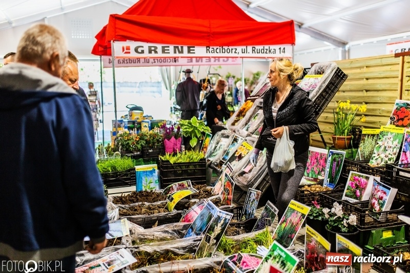 Zdjęcie w galerii na portalu naszraciborz.pl: Stoiska rozstawione, grille rozpalone, scena pełna gwiazd. Ruszyła 19. Eko-Wystawa w Pietrowicach Wielkich wiadomości z regionu