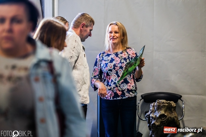 Zdjęcie w galerii na portalu naszraciborz.pl: Stoiska rozstawione, grille rozpalone, scena pełna gwiazd. Ruszyła 19. Eko-Wystawa w Pietrowicach Wielkich wiadomości z regionu