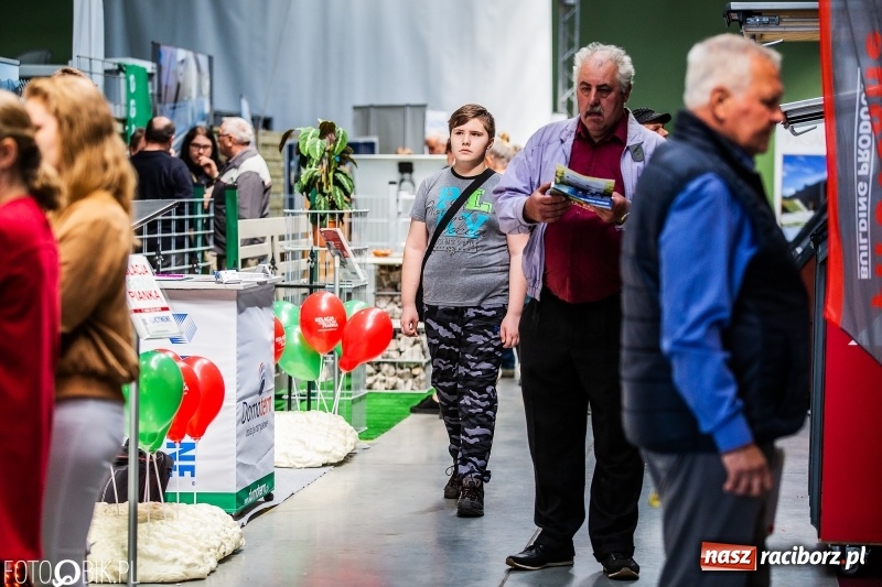 Zdjęcie w galerii na portalu naszraciborz.pl: Stoiska rozstawione, grille rozpalone, scena pełna gwiazd. Ruszyła 19. Eko-Wystawa w Pietrowicach Wielkich wiadomości z regionu