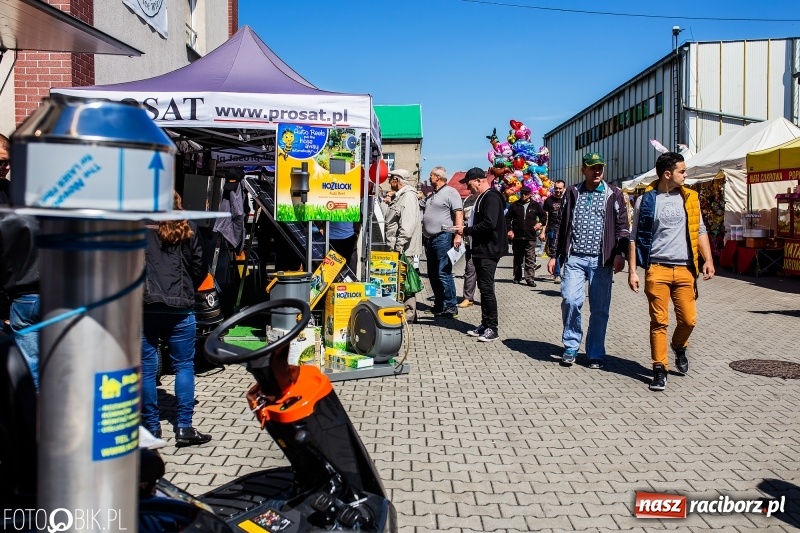 Zdjęcie w galerii na portalu naszraciborz.pl: Stoiska rozstawione, grille rozpalone, scena pełna gwiazd. Ruszyła 19. Eko-Wystawa w Pietrowicach Wielkich wiadomości z regionu