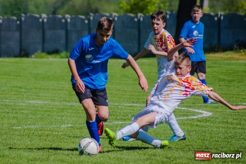 Zdjęcie w galerii na portalu naszraciborz.pl: Szybko zdobyty gol naruszył mury Zameczku. Potem było już z górki [FOTO] wiadomości z regionu
