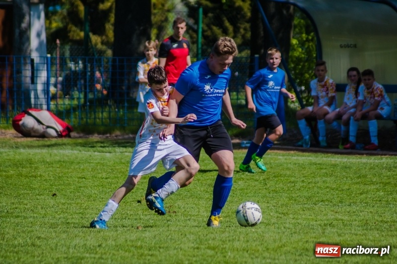 Zdjęcie w galerii na portalu naszraciborz.pl: Szybko zdobyty gol naruszył mury Zameczku. Potem było już z górki [FOTO] wiadomości z regionu