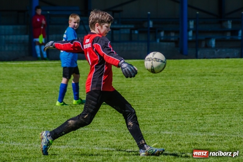 Zdjęcie w galerii na portalu naszraciborz.pl: Szybko zdobyty gol naruszył mury Zameczku. Potem było już z górki [FOTO] wiadomości z regionu