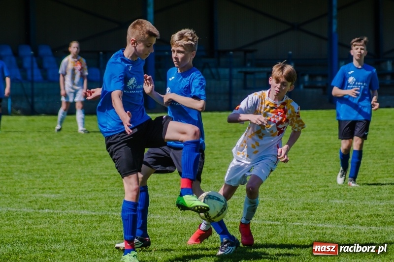 Zdjęcie w galerii na portalu naszraciborz.pl: Szybko zdobyty gol naruszył mury Zameczku. Potem było już z górki [FOTO] wiadomości z regionu