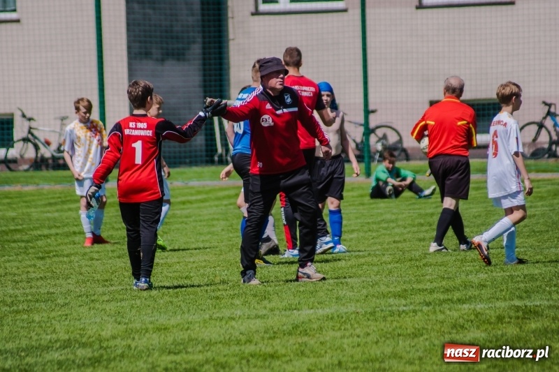 Zdjęcie w galerii na portalu naszraciborz.pl: Szybko zdobyty gol naruszył mury Zameczku. Potem było już z górki [FOTO] wiadomości z regionu