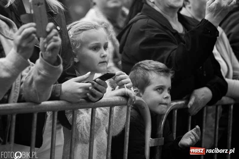 Zdjęcie w galerii na portalu naszraciborz.pl: TOBY gwiazdą pierwszego dnia pietrowickiej Eko-Wystawy wiadomości z regionu