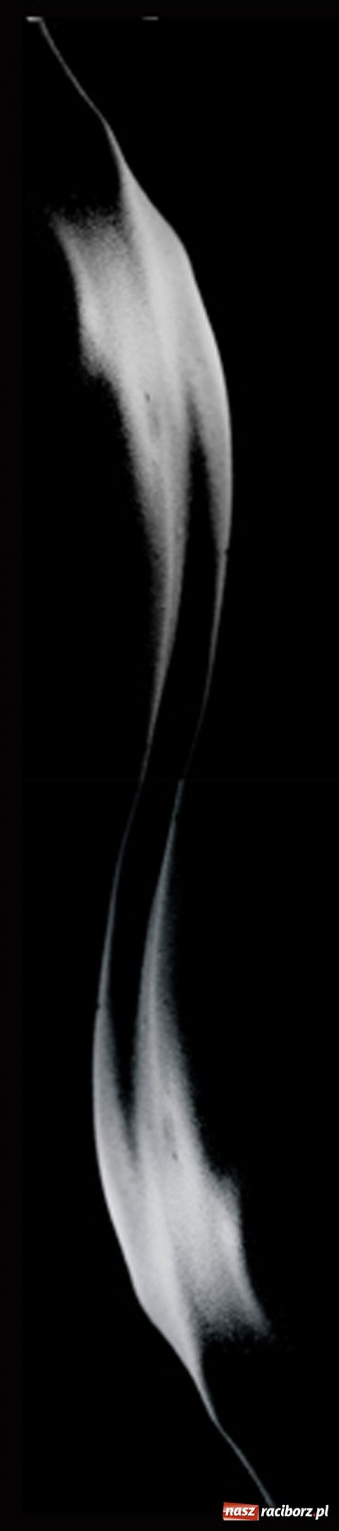 Zdjęcie w galerii na portalu naszraciborz.pl: Akty zaklęte w kwiaty wiadomości z regionu