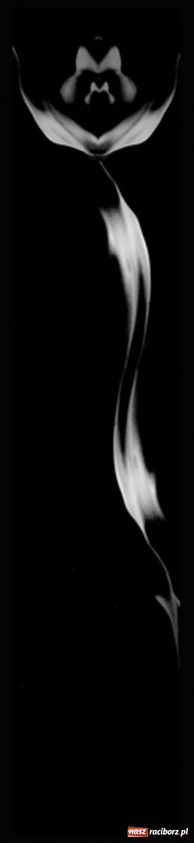 Zdjęcie w galerii na portalu naszraciborz.pl: Akty zaklęte w kwiaty wiadomości z regionu