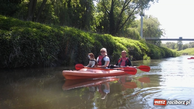 Zdjęcie w galerii na portalu naszraciborz.pl: Słowiańscy nauczyciele spotkali się w Kuźni Raciborskiej wiadomości z regionu