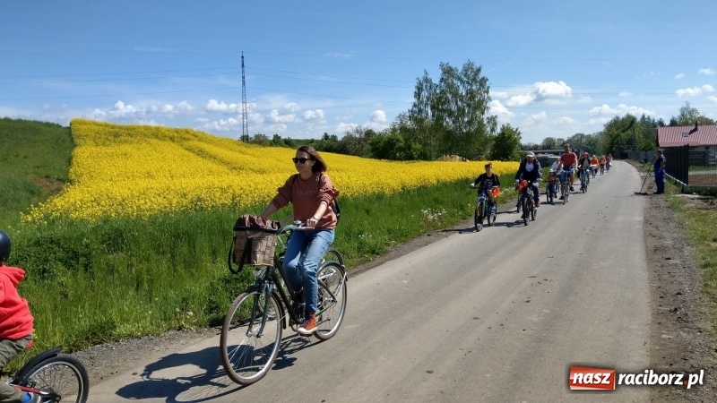 Zdjęcie w galerii na portalu naszraciborz.pl: Sobota na dwóch kółkach z raciborską biblioteką wiadomości z regionu