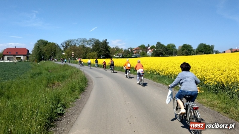 Zdjęcie w galerii na portalu naszraciborz.pl: Sobota na dwóch kółkach z raciborską biblioteką wiadomości z regionu