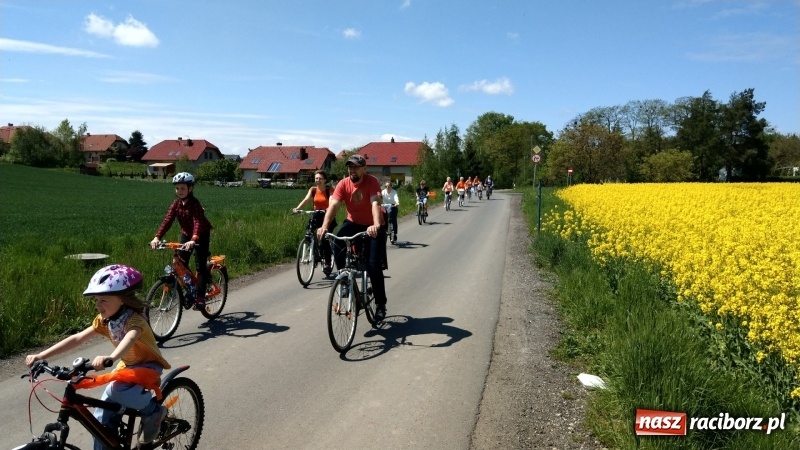 Zdjęcie w galerii na portalu naszraciborz.pl: Sobota na dwóch kółkach z raciborską biblioteką wiadomości z regionu