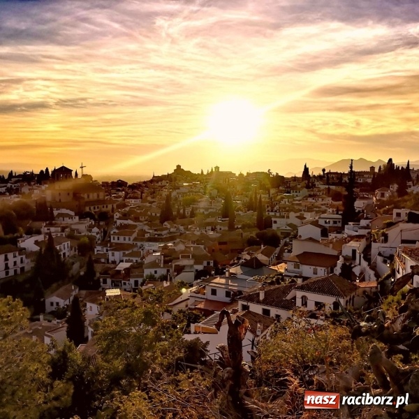 Zdjęcie w galerii na portalu naszraciborz.pl: Cel Granada. Raciborzanie na zagranicznych praktykach  wiadomości z regionu