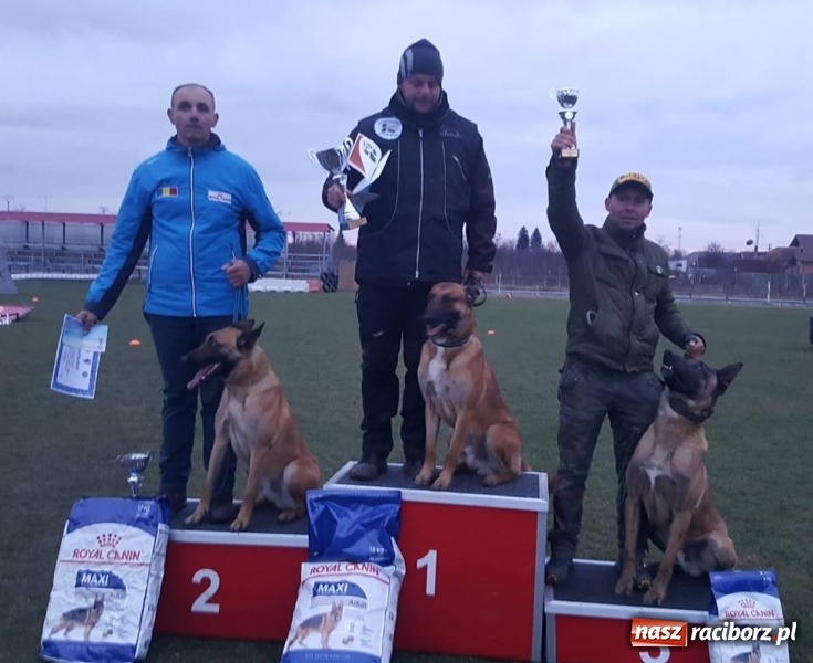 Zdjęcie w galerii na portalu naszraciborz.pl: Raciborzanin czwarty na Mistrzostwach Świata Owczarków Belgijskich wiadomości z regionu