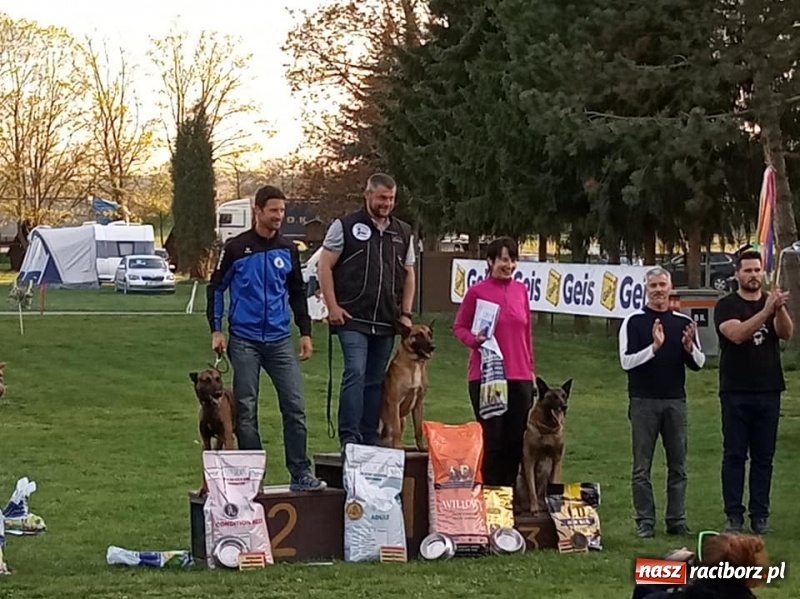 Zdjęcie w galerii na portalu naszraciborz.pl: Raciborzanin czwarty na Mistrzostwach Świata Owczarków Belgijskich wiadomości z regionu