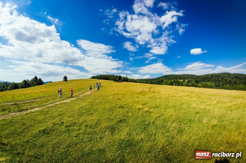 Zdjęcie w galerii na portalu naszraciborz.pl: Obóz wędrowny szlakami Beskidów – poznaj smak prawdziwej przygody... wiadomości z regionu
