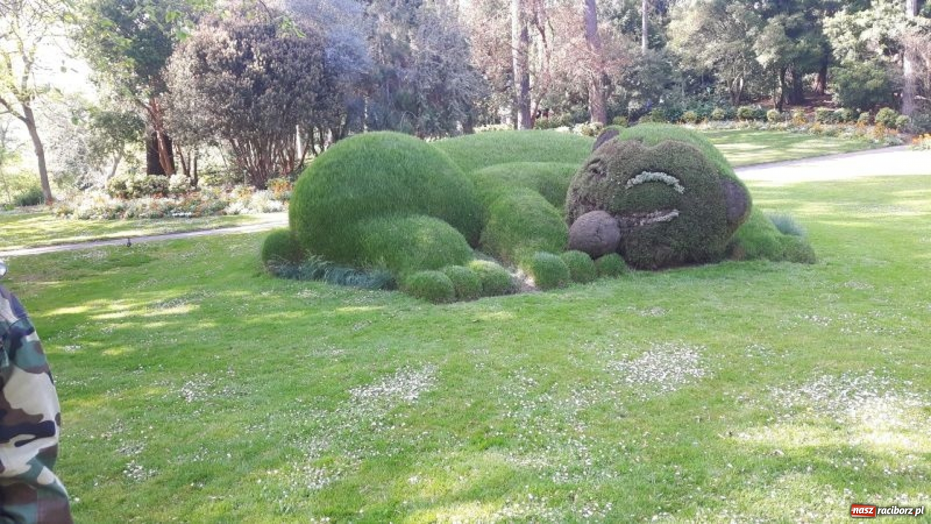 Zdjęcie w galerii na portalu naszraciborz.pl: Uczniowie Mechanika na praktykach zawodowych we Francji wiadomości z regionu