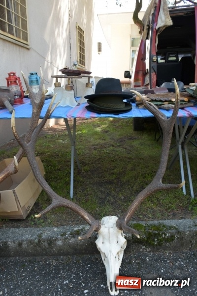 Zdjęcie w galerii na portalu naszraciborz.pl: Ruszył dwudniowy jarmark w Chałupkach  wiadomości z regionu