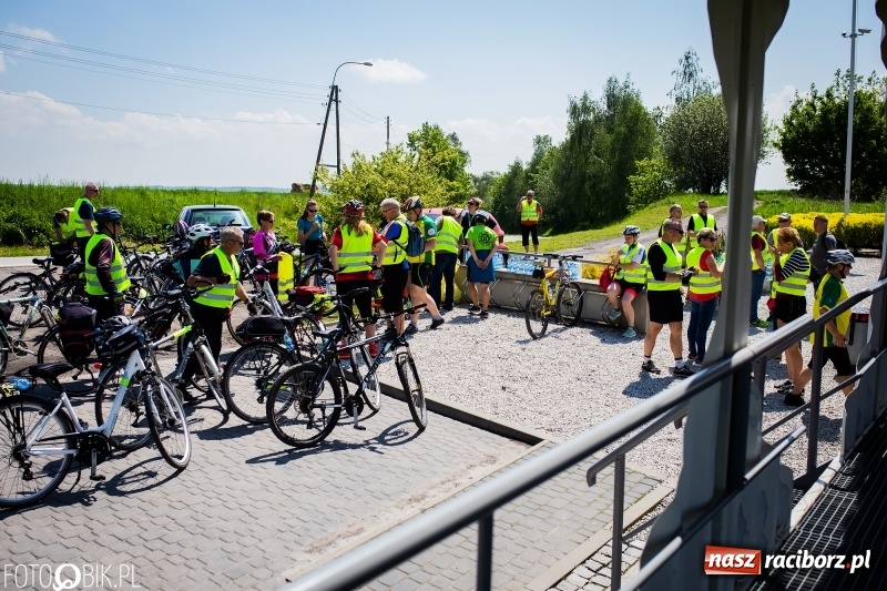 Zdjęcie w galerii na portalu naszraciborz.pl: Rajd rowerowy po Gminie Kornowac wiadomości z regionu