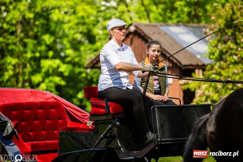 Zdjęcie w galerii na portalu naszraciborz.pl: Pierwsza konna procesja ze świętym Urbanem w Łubowicach wiadomości z regionu