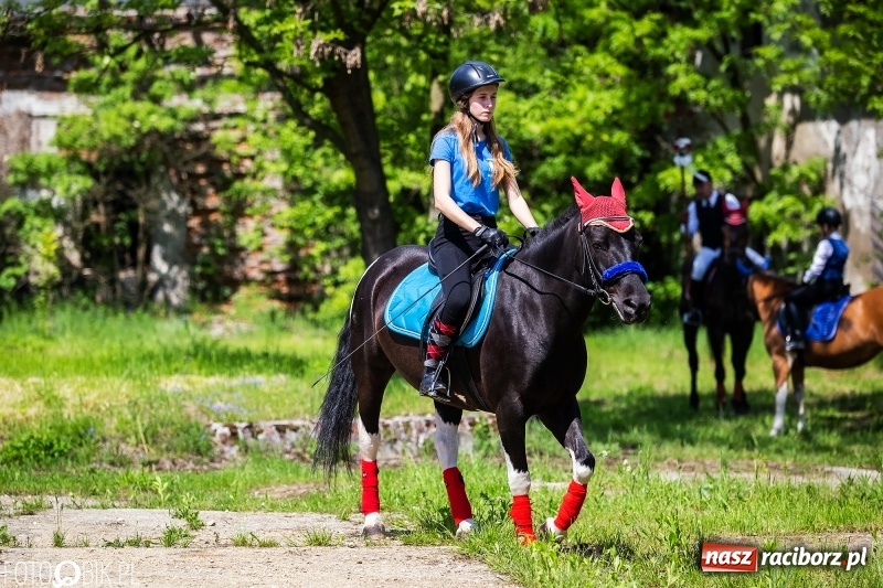 Zdjęcie w galerii na portalu naszraciborz.pl: Pierwsza konna procesja ze świętym Urbanem w Łubowicach wiadomości z regionu
