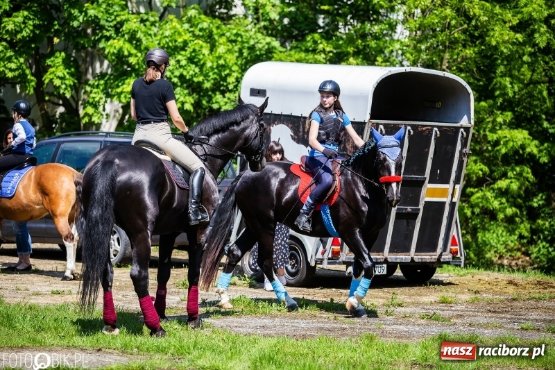Zdjęcie w galerii na portalu naszraciborz.pl: Pierwsza konna procesja ze świętym Urbanem w Łubowicach wiadomości z regionu
