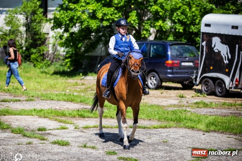 Zdjęcie w galerii na portalu naszraciborz.pl: Pierwsza konna procesja ze świętym Urbanem w Łubowicach wiadomości z regionu