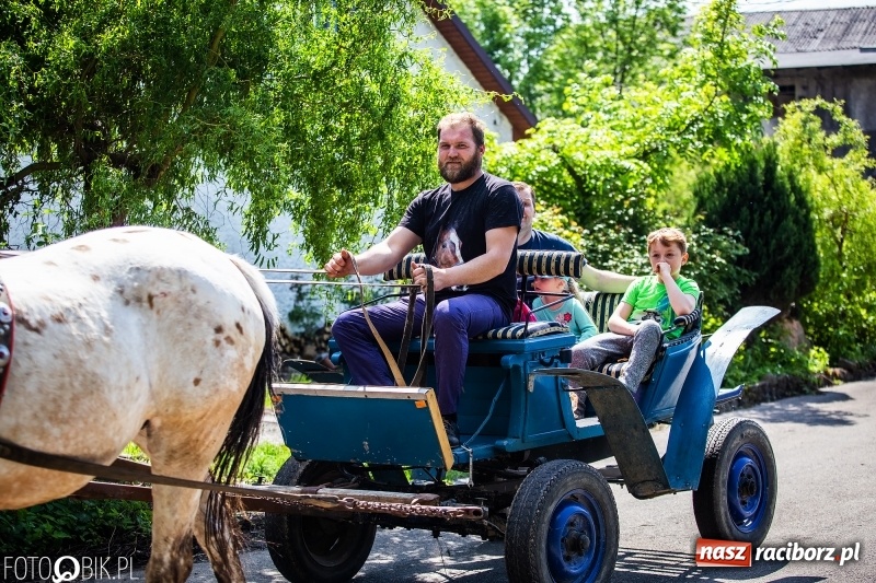 Zdjęcie w galerii na portalu naszraciborz.pl: Pierwsza konna procesja ze świętym Urbanem w Łubowicach wiadomości z regionu