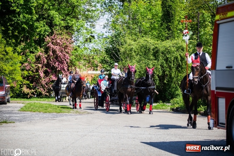 Zdjęcie w galerii na portalu naszraciborz.pl: Pierwsza konna procesja ze świętym Urbanem w Łubowicach wiadomości z regionu